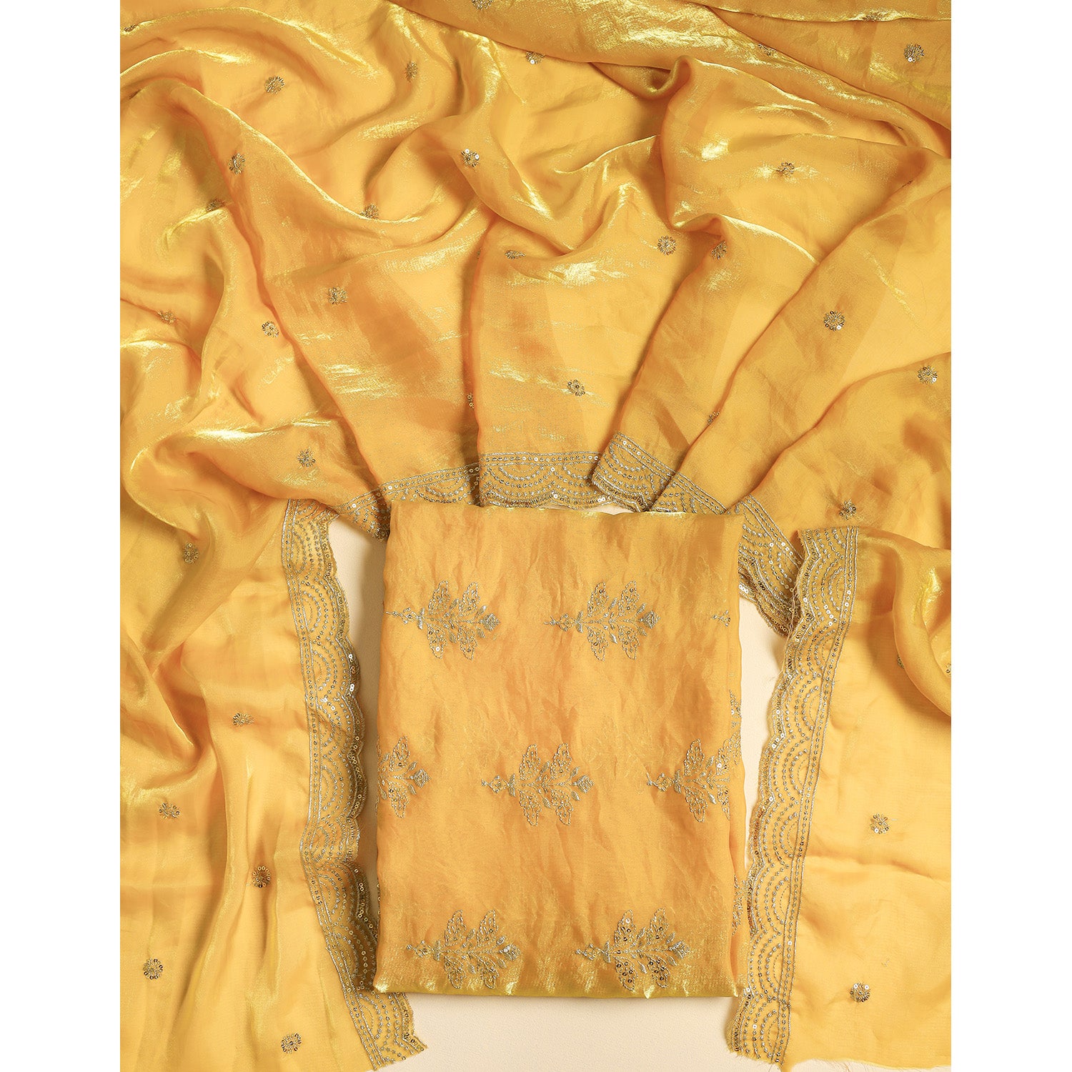 TISSUE SILK EMBROIDERED 2 PIECE SET