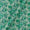 Super Fine Cotton (Mul Type) Pastel Green Colour Premium Digital Jaal Print Fabric Online 2151QJ