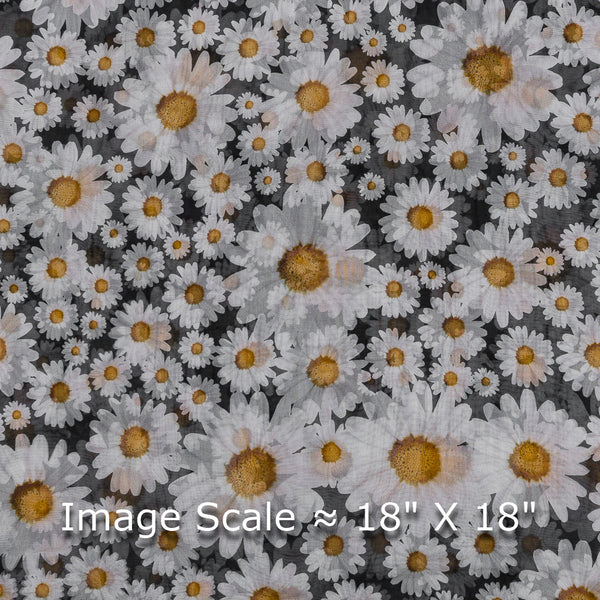 Organza Grey Black Colour Digital Floral Print Poly Fabric freeshipping - SourceItRight