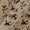 Cotton Off White Colour Bird Motif Print Natural Kalamkari Fabric Online 2074DL3