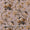 Super Fine Cotton (Mul Type) Nut Brown Colour Premium Digital Jaal Print Fabric Online 2151QC