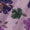 Super Fine Cotton (Mul Type) Purple Colour Premium Digital Floral Print Fabric Online 2151RA2