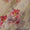 Organza Cream Colour Digital Floral Jaal Print Fabric Online 2223GD