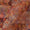 Organza Fanta Orange Colour Digital Floral Jaal Print Fabric Online 2223HL