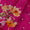 Chinon Chiffon Fuchsia Pink Colour Gold Badla Embroidered Fabric
