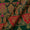 Satin Silk Feel Bottle Green Colour Banarasi Brocade 43 Inches Width Fabric