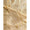 TISSUE SILK WOVEN SAREE