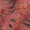 Buy Soft Slub Cotton Feel Peach Pink Colour Leaves Print Fancy Fabric Online 9748EX3