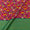 Jaal Print with Jacquard Daman Border Rani Pink Colour Art Silk Fabric Online 9821AU2