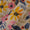 Soft Cotton Beige Colour Floral Print 41 Inches Width Fabric