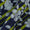 Cotton Indigo Colour Floral Jaal Print Fabric Online 9958GF2