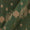Cotton Green X Beige Cross Tone Azo Free Ikat Fabric Online 9979BF4
