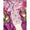 SEMI TUSSAR PICHWAI 2 PIECE SET
