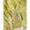 PURE MALAI CHANDERI EMBROIDERED SUIT SET