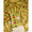 PICHWAI SILK SUIT SET