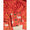PICHWAI SILK SUIT SET