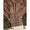 COTTON KALAMKARI SUIT SET