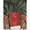 COTTON 2 PIECE SUIT SET