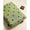COTTON EMBROIDERED FABRIC