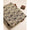 KALAMKARI COTTON HAKOBA FABRIC