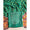 DOLA SILK 2 PIECE SUIT SET