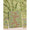 PURE COTTON JAMDHANI SUIT SET