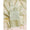 BANARAS TISSUE 2 PIECE SUIT SET