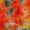 Buy Chinon Chiffon Multi Colour Tie Dye Print Artificial Mirror Embroidered Fabric Online 3220D