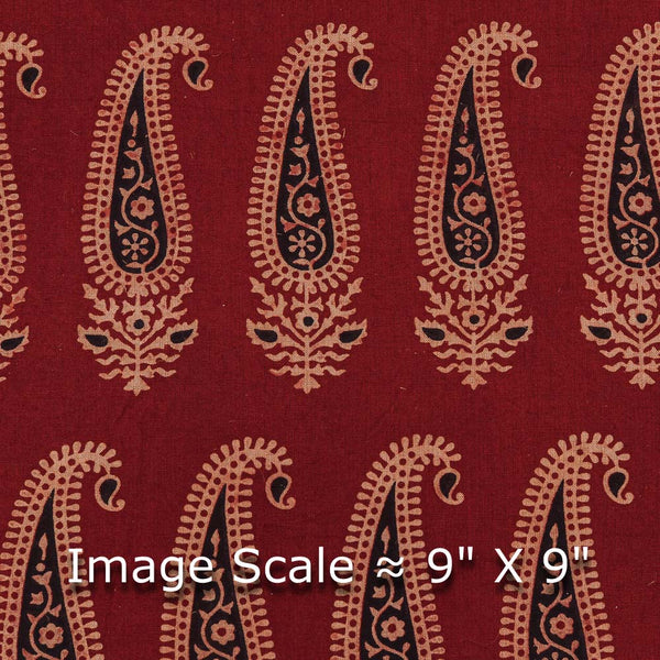 Buy Dusty Gamathi Off White Colour Floral Print Cotton Fabric Online 9072CQ  - SourceItRight