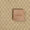 Spun Dupion Beige Colour Jacquard Fabric freeshipping - SourceItRight